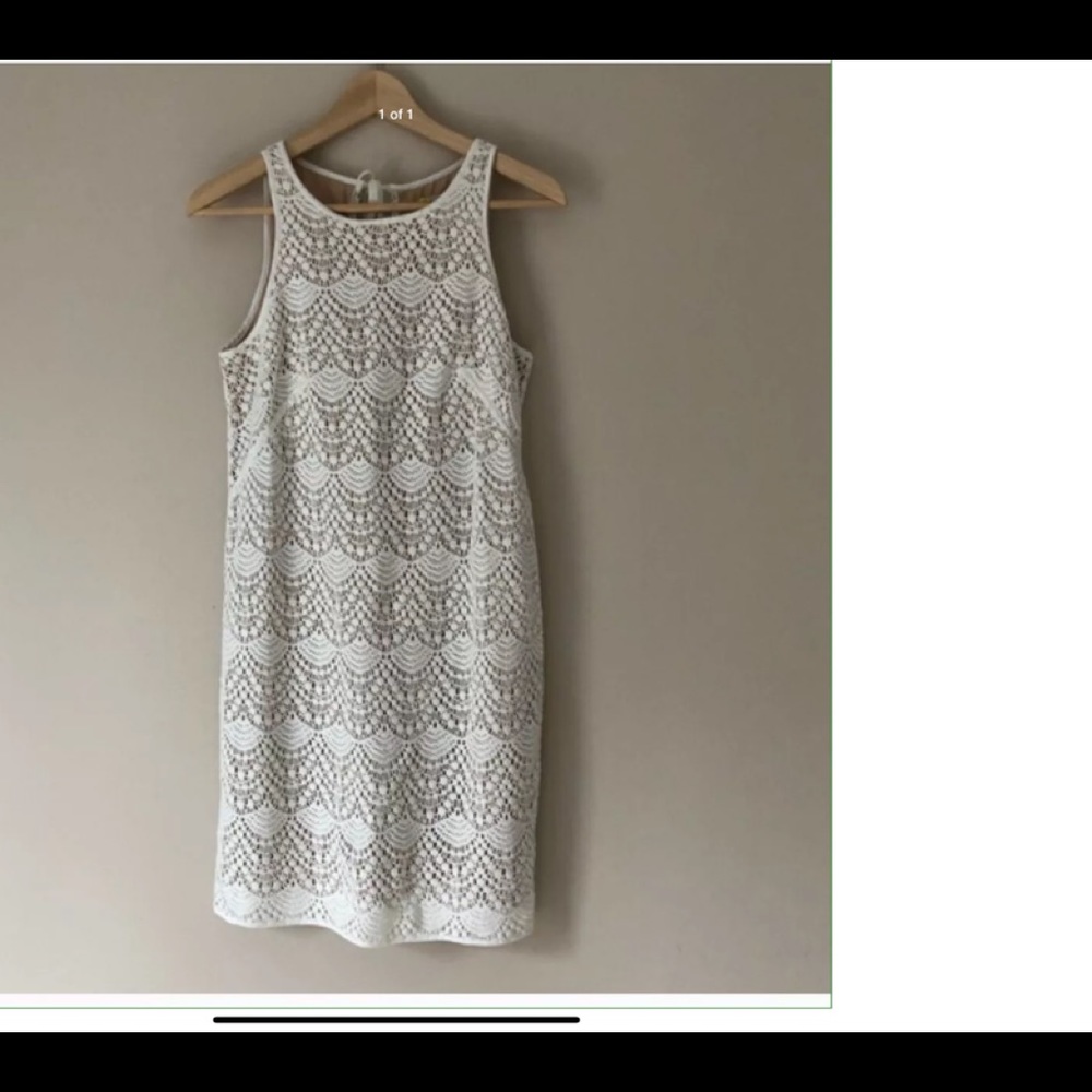 Ann Taylor Loft Dress